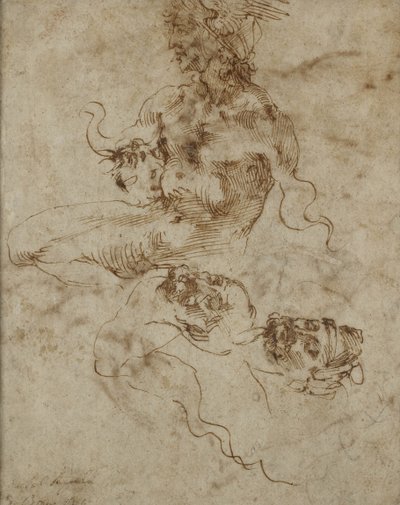 Studie eines sitzenden jungen Mannes, mit Kopfstudien, ca. 1502 von Michelangelo Buonarroti